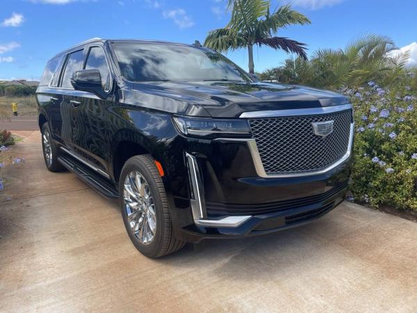 Long-Term Business Car Hire in Kona